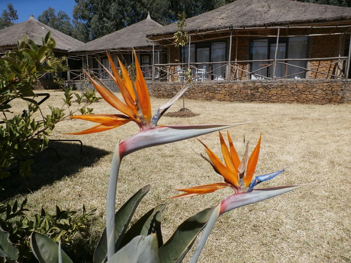 Mayleko Lodge Gonder Extérieur photo