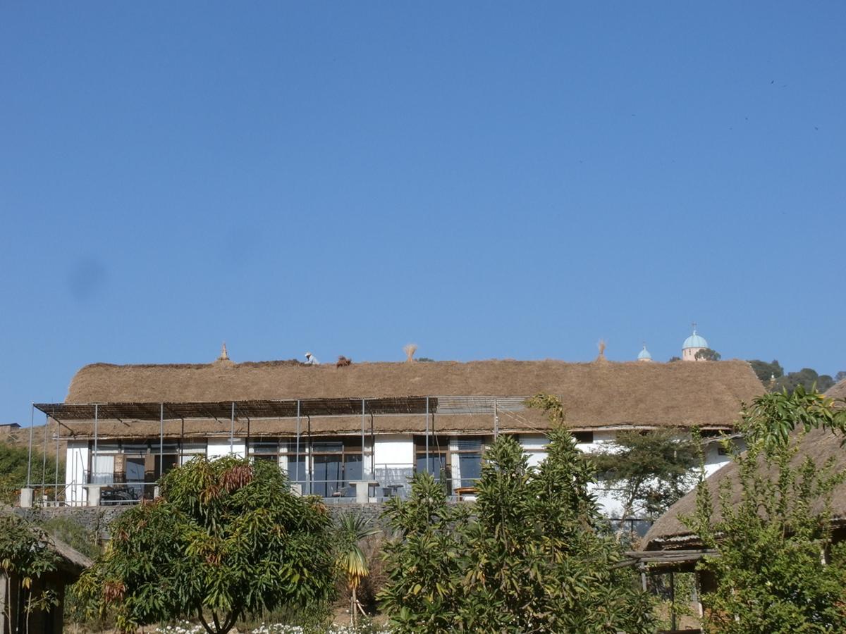 Mayleko Lodge Gonder Extérieur photo