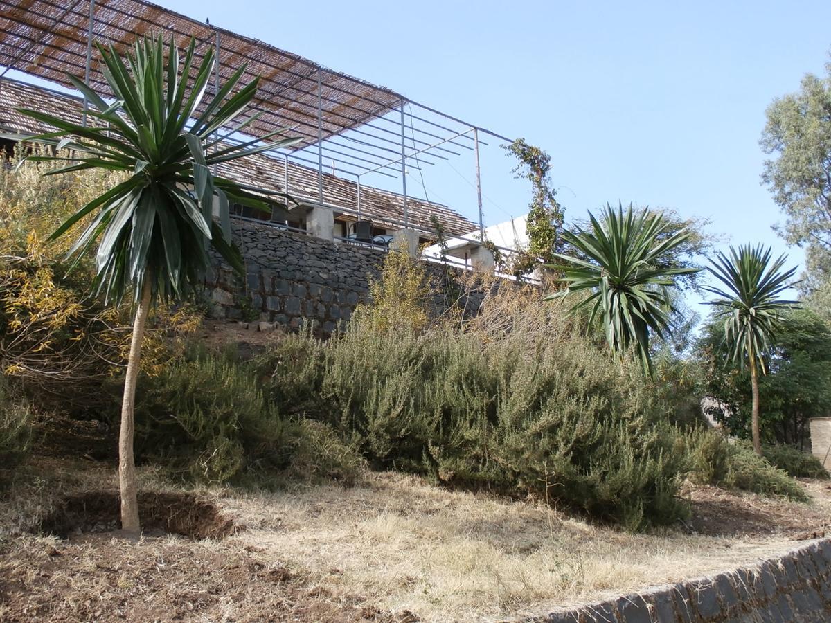 Mayleko Lodge Gonder Extérieur photo