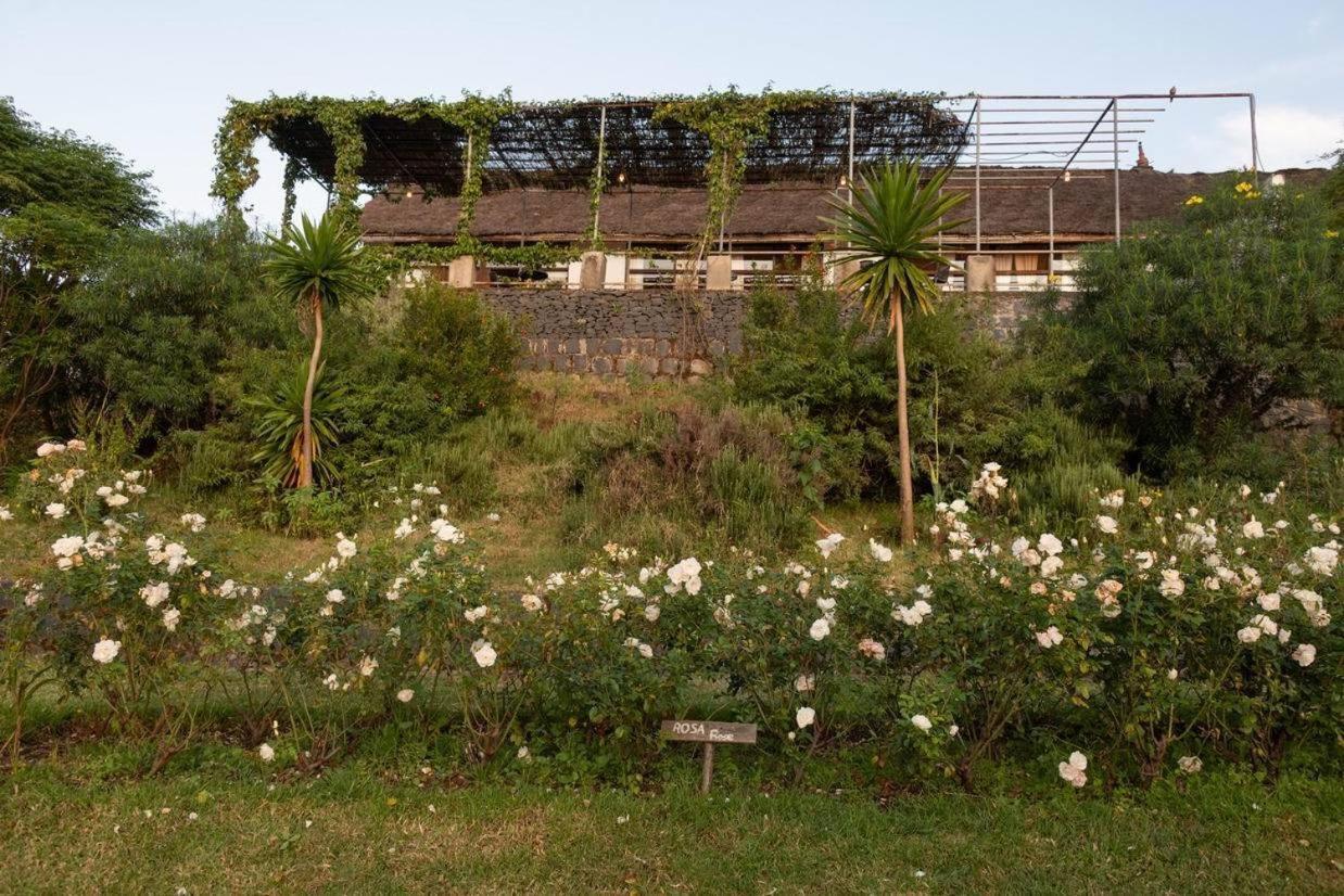 Mayleko Lodge Gonder Extérieur photo