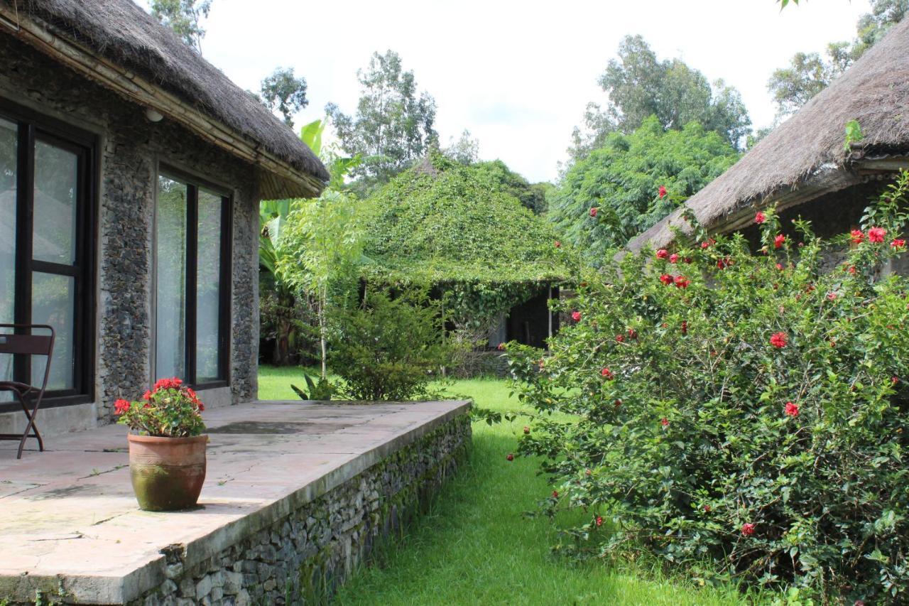 Mayleko Lodge Gonder Extérieur photo