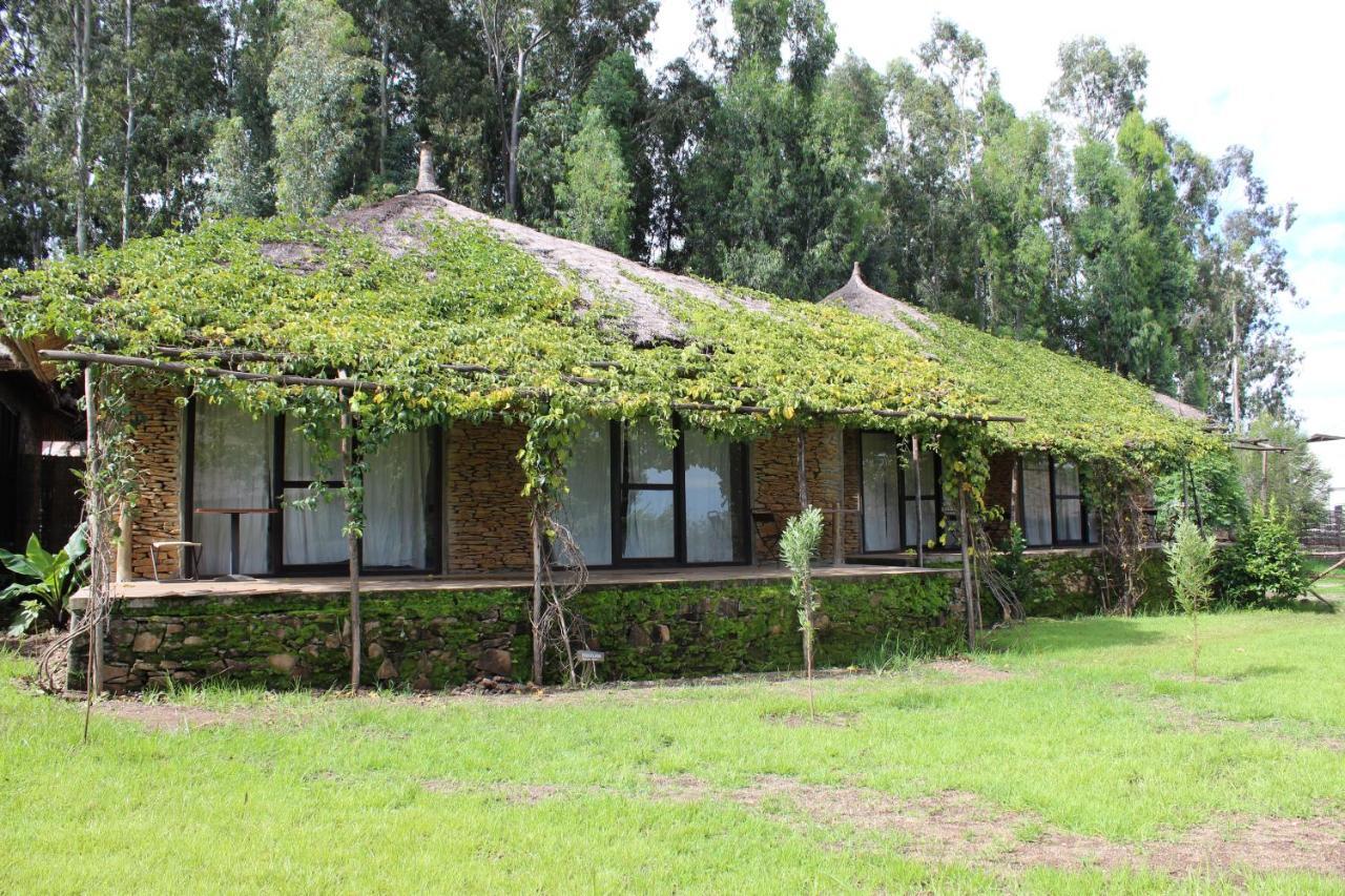 Mayleko Lodge Gonder Extérieur photo