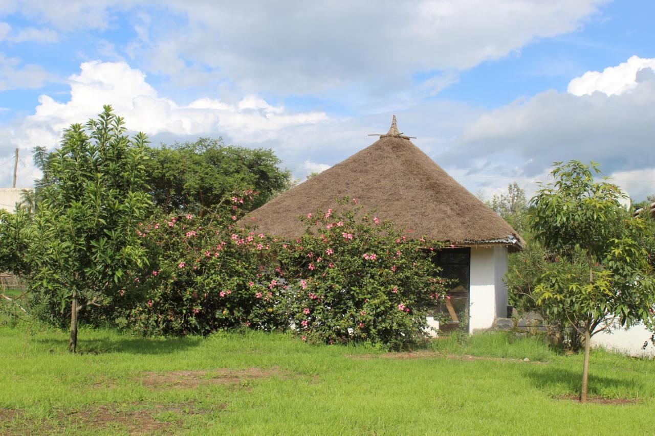 Mayleko Lodge Gonder Extérieur photo